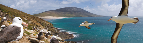 Falklands Fish Responsible Fishing